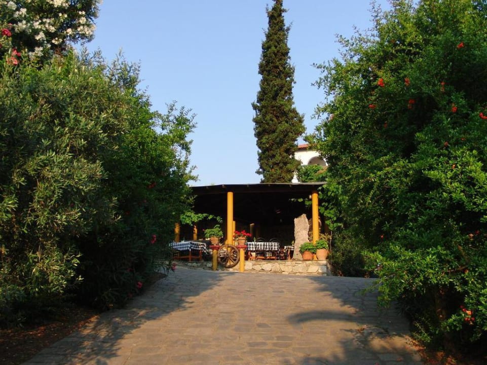 Geranion Village, Nikiti  Hotel Geranion Village