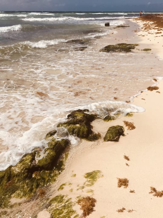 Strand Viva Azteca by Wyndham - All Inclusive Resort