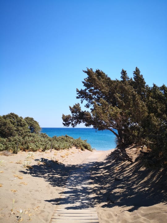Strand Atlantica Plimmiri