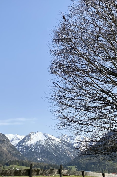 Ausblick Schüle's Gesundheitsresort & Spa