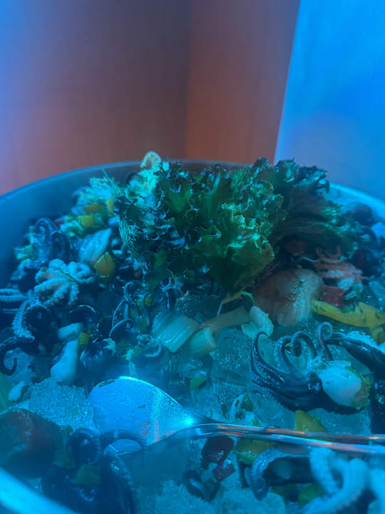 Gastro Sheraton Jumeirah Beach Resort