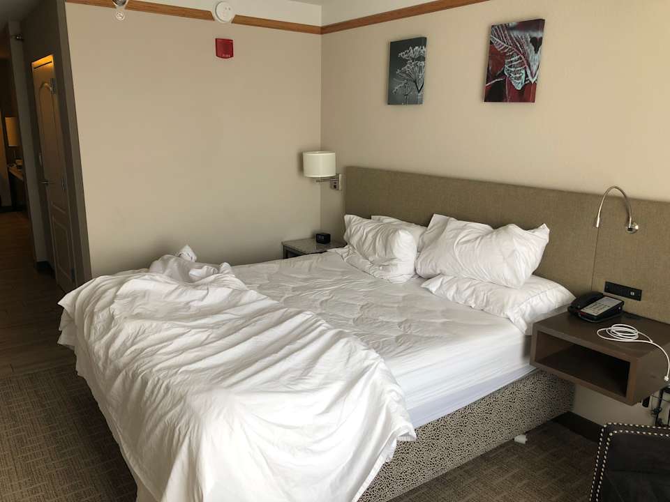 Zimmer Hotel Hilton Garden Inn Grand Forks/UND
