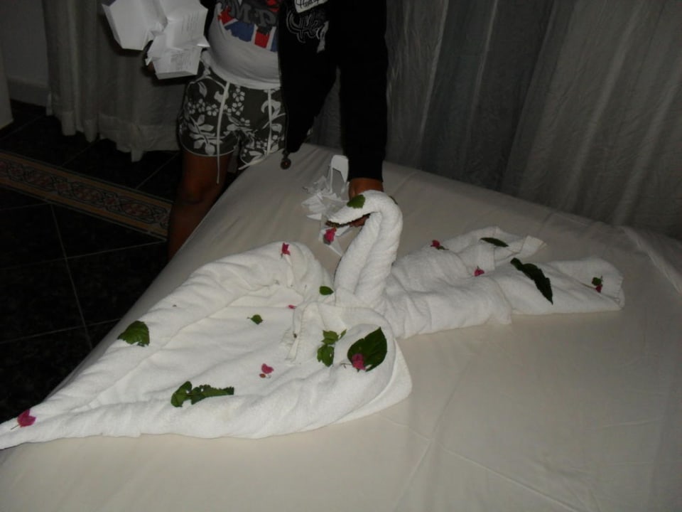 Etwas Trinkgeld  Pickalbatros Aqua Park Resort - Hurghada