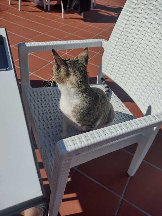 Sonstiges Salamis Bay Conti Resort Hotel & Casino