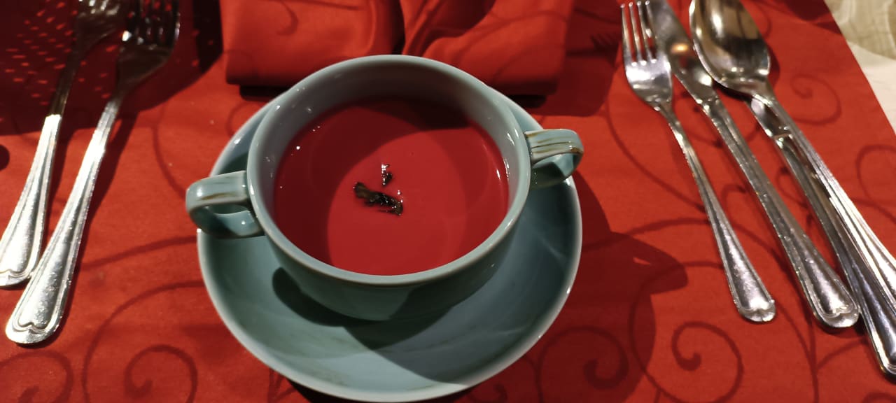 Gastro Naturparkhotel Adler