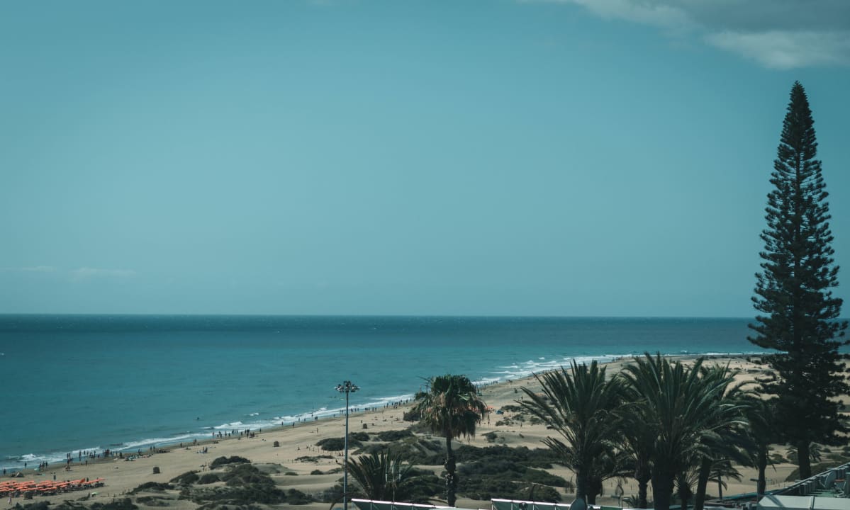 Ausblick Hotel El Palmar