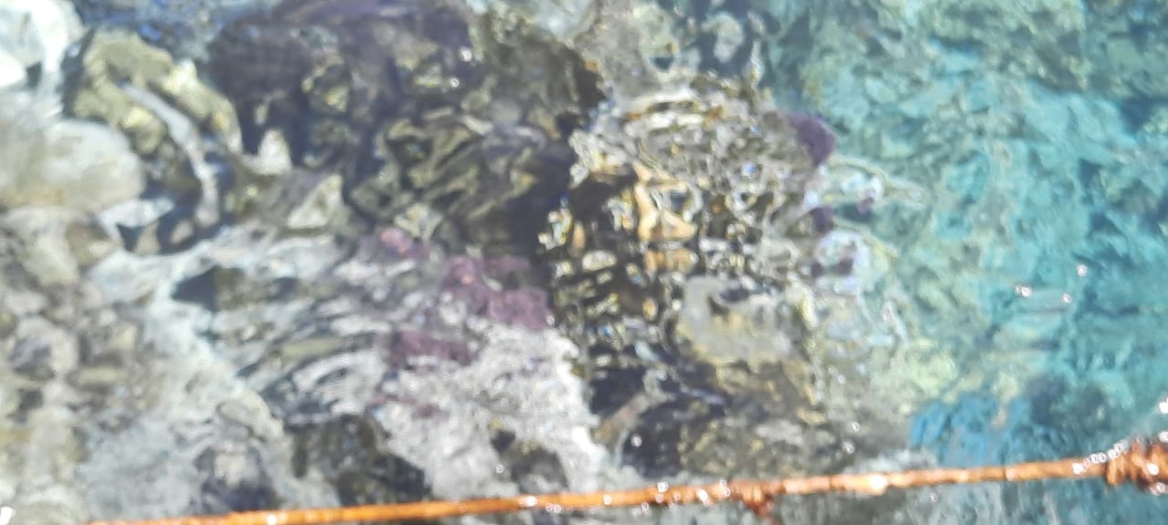 Strand Makadi Spa - Adults only