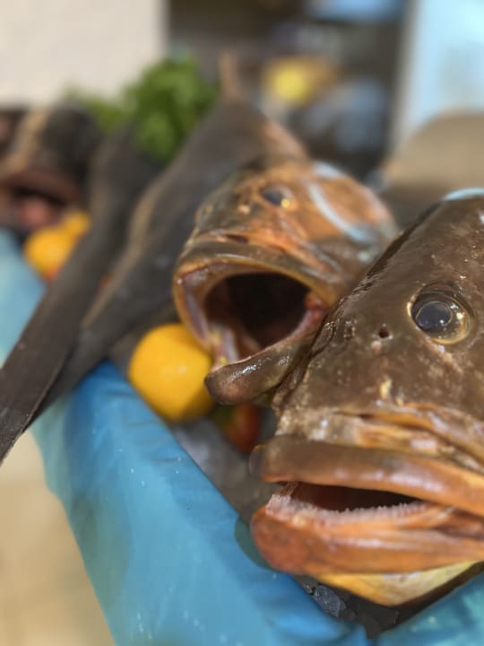 Gastro ROBINSON DJERBA BAHIYA