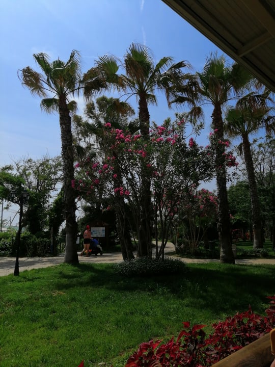 Gartenanlage Belconti Resort Hotel