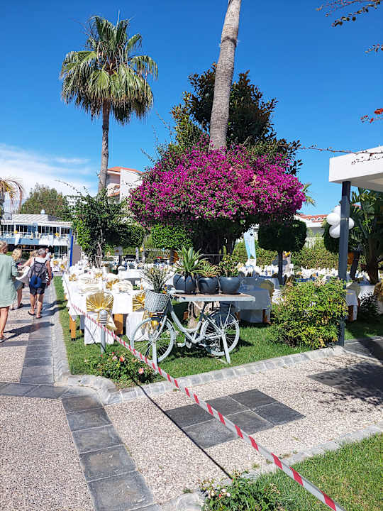 Gartenanlage Seashell Resort
