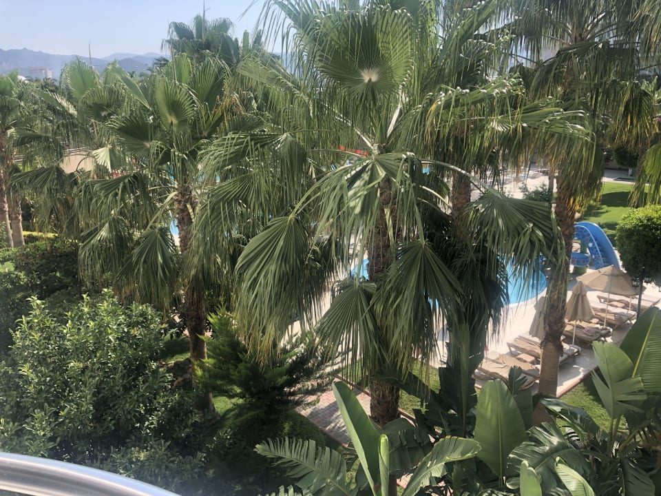 Gartenanlage Hotel Royal Garden Beach