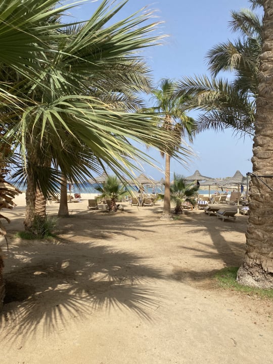 Strand Brayka Bay Resort