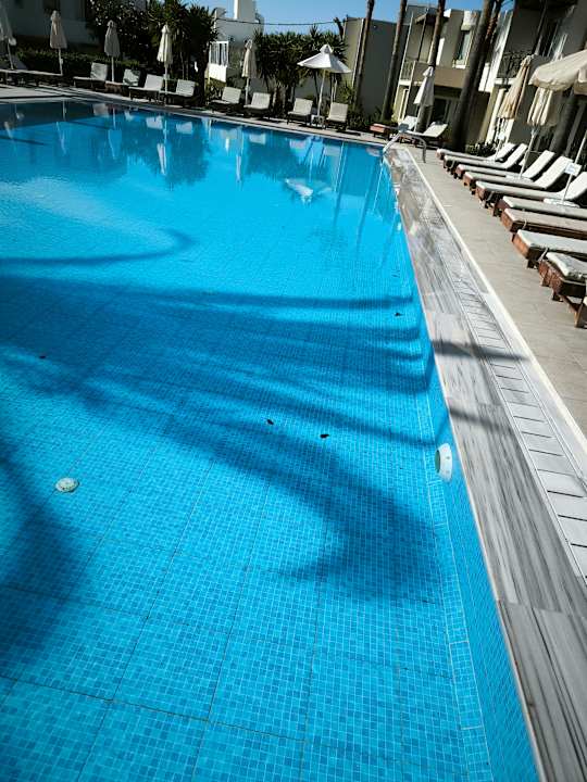 Pool HARPIN Georgioupolis Resort Aquapark & SPA