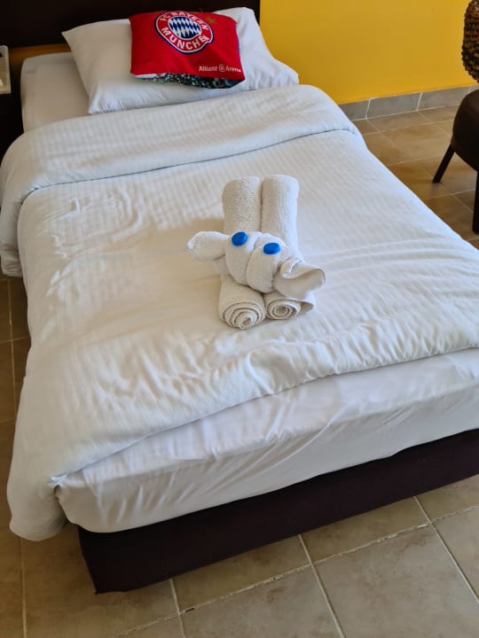 Zimmer Coral Sun Beach