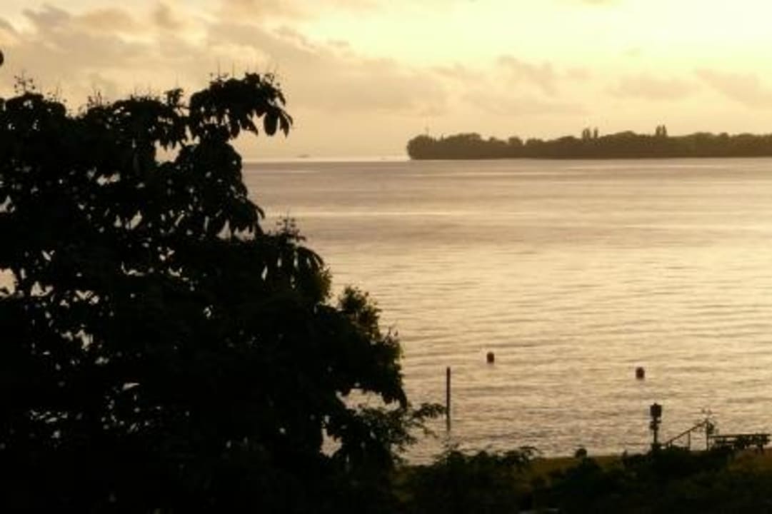 Ausblick über den Bodensee Hotel Seewirt