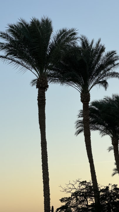 Ausblick Makadi Spa - Adults only