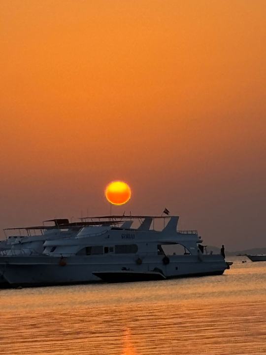 Ausblick The Grand Palace - Adults only