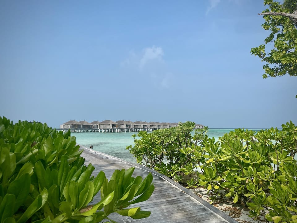 Ausblick Constance Moofushi Maldives