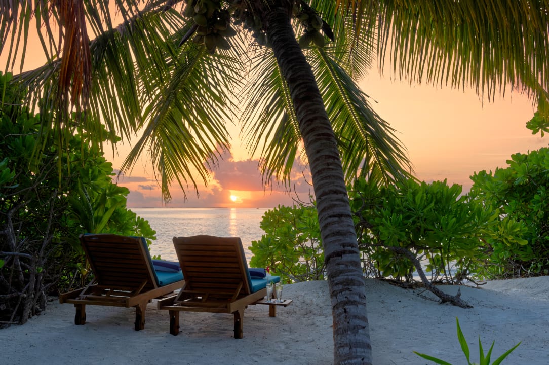Zimmer Canareef Resort Maldives