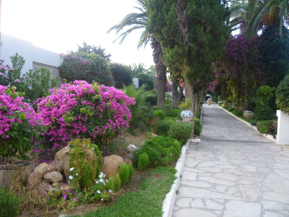 Der Weg zum Strand The Orangers Beach Resort and Bungalows