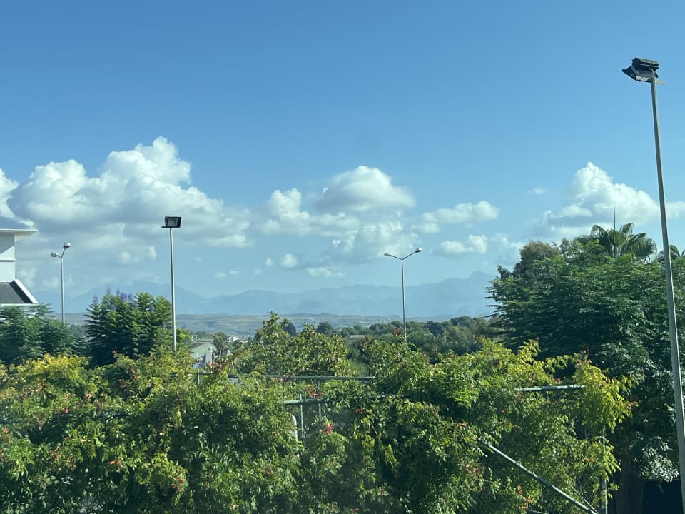 Außenansicht Alba Queen Hotel