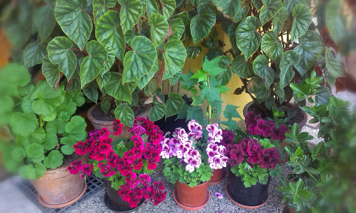 Eingangsbereich Strandpension Liane