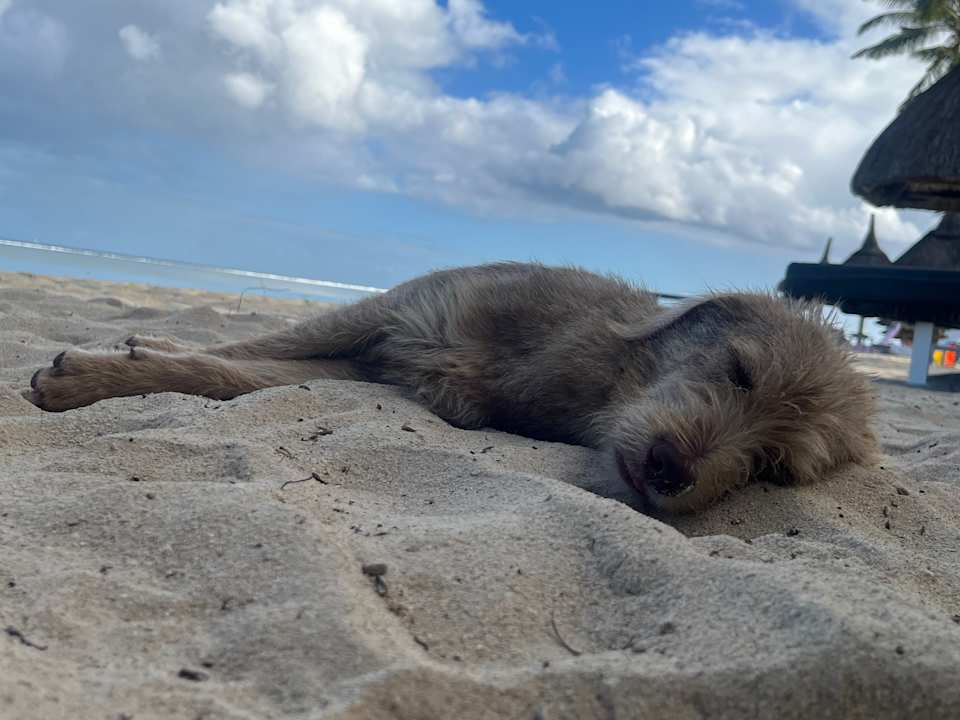 Strand La Pirogue Mauritius
