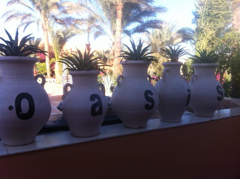 Stets gepflegt - der Garten Jaz Makadi Oasis Resort