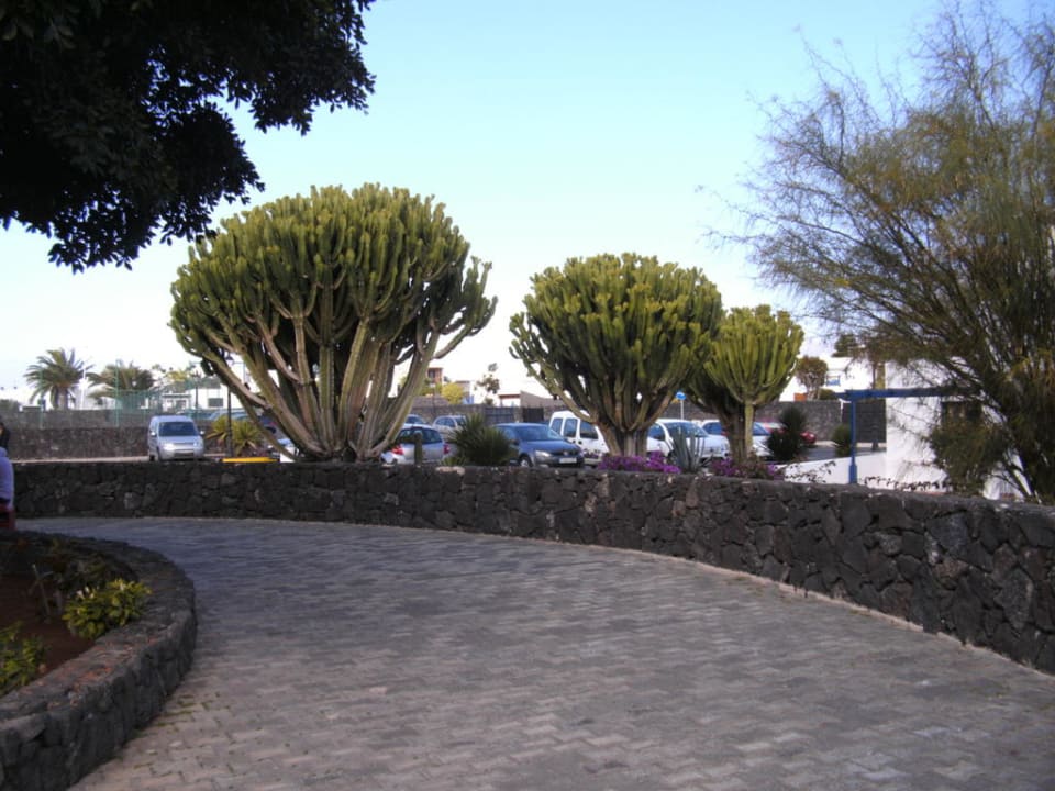 Gartenanlage Relaxia Olivina