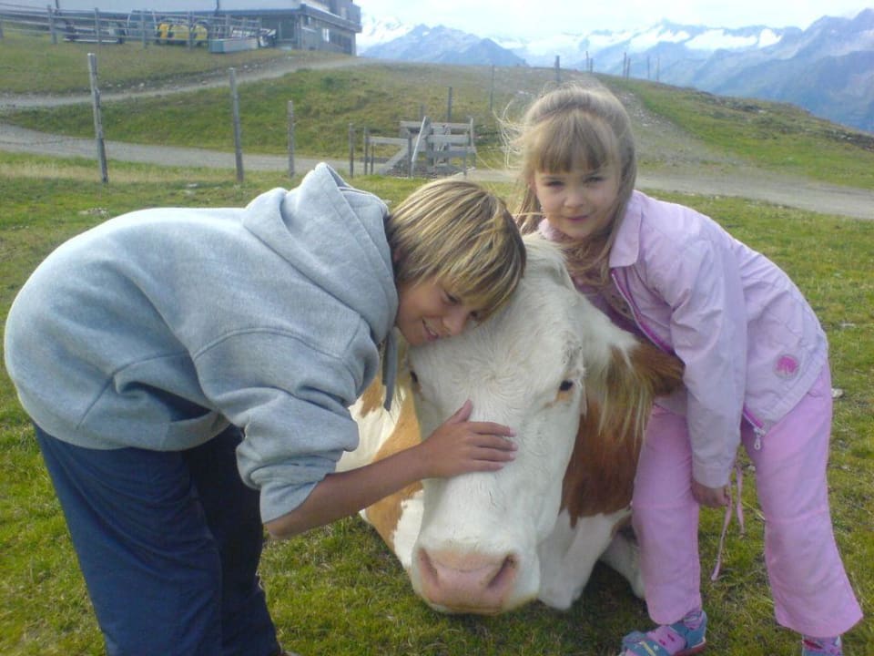 Wilde Tiere ganz zahm Klockerhaus