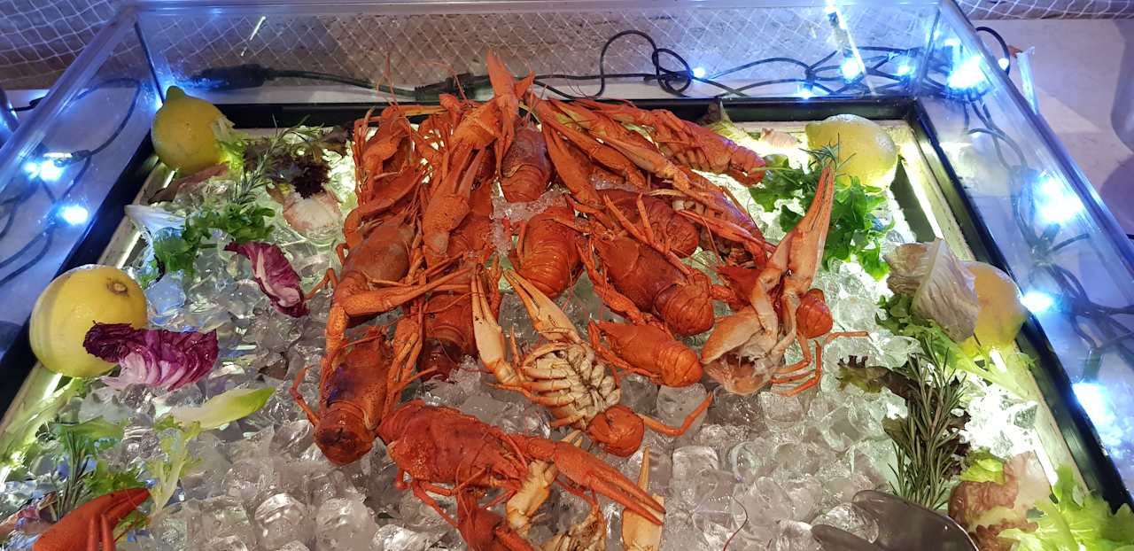 Gastro Acanthus Cennet Barut Collection