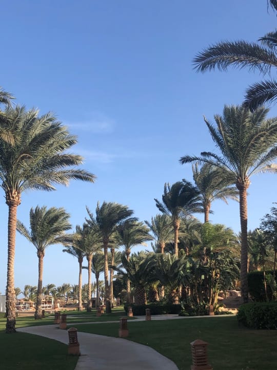 Gartenanlage Stella Beach Resort & Spa Makadi Bay