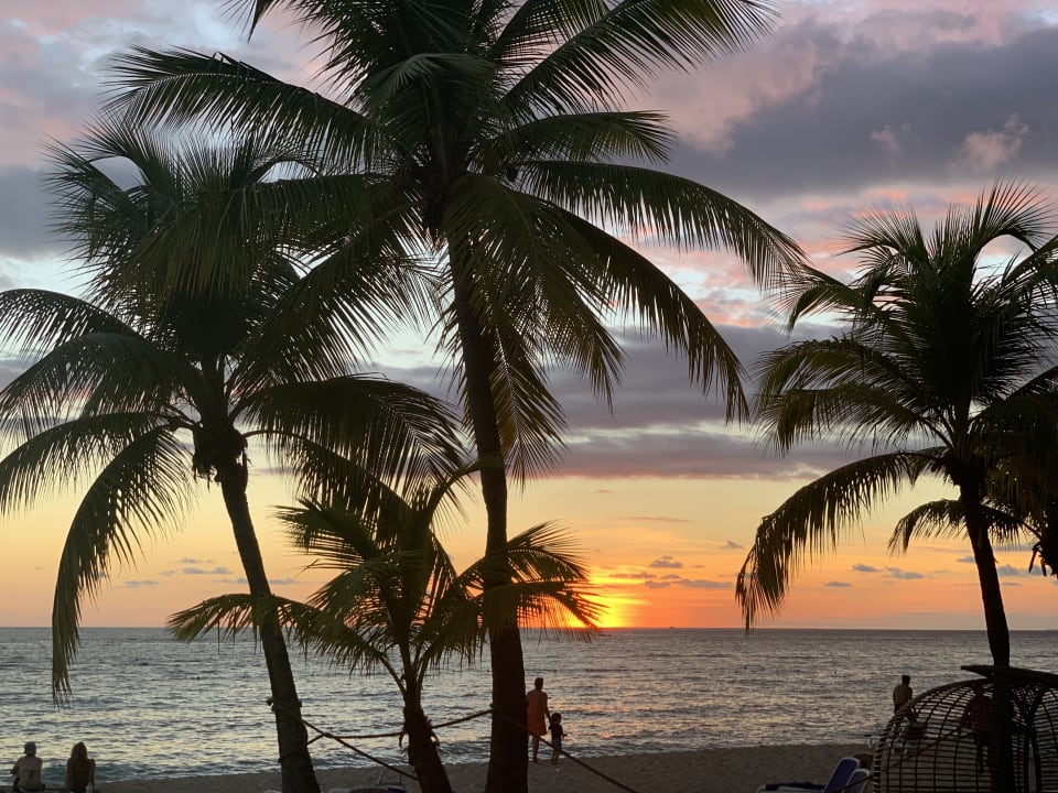 Strand Hotel Viva Dominicus Beach by Wyndham - All Inclusive Resort