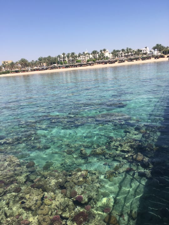 Strand Pickalbatros Palace Hotel-Port Ghalib