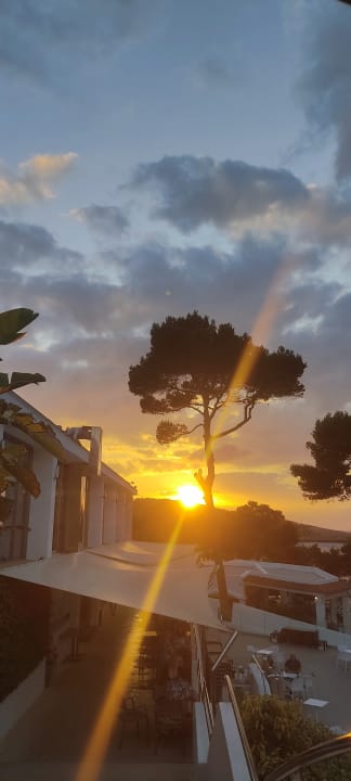 Gartenanlage Sandos El Greco Beach Hotel 16+