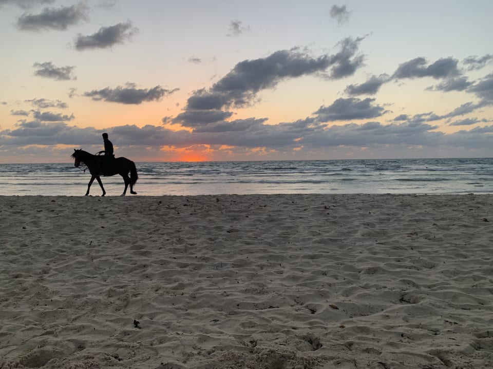 Strand ROBINSON DJERBA BAHIYA