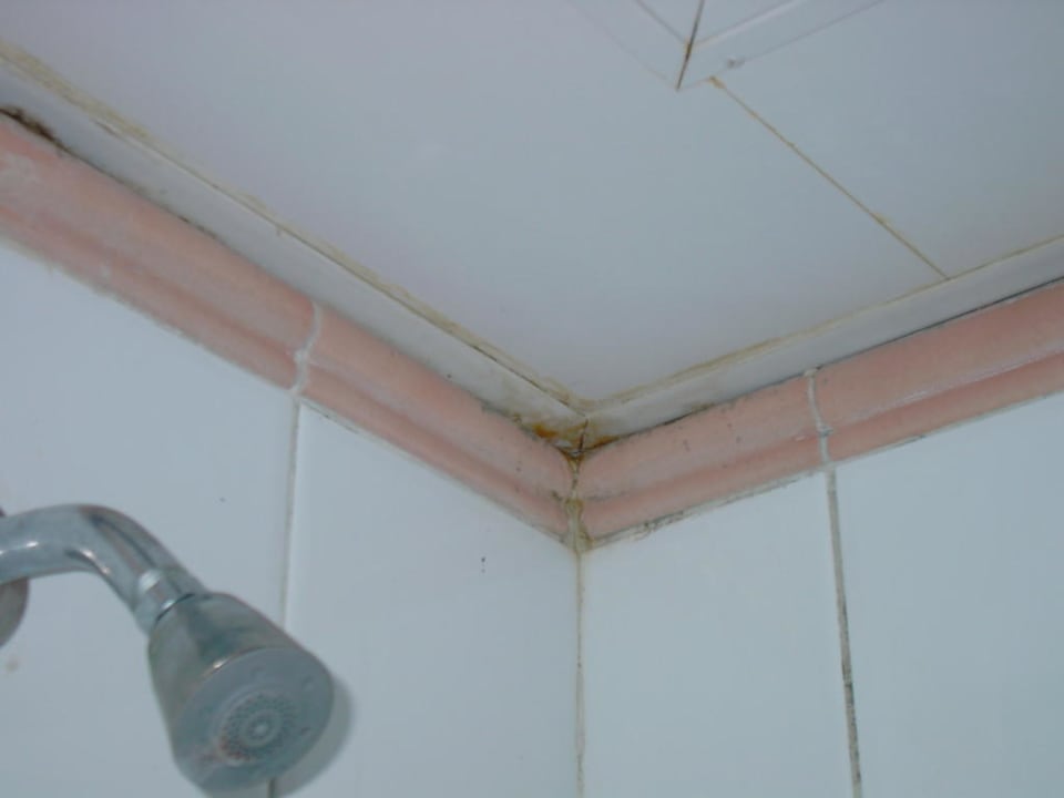 Schimmel Villas Bavaro Resort & Spa