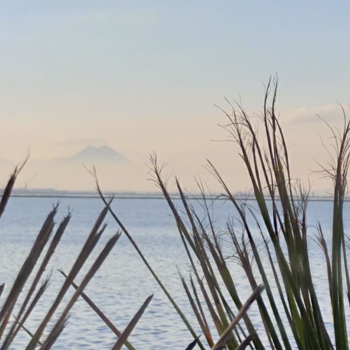 Ausblick Hotel Concorde Les Berges du Lac