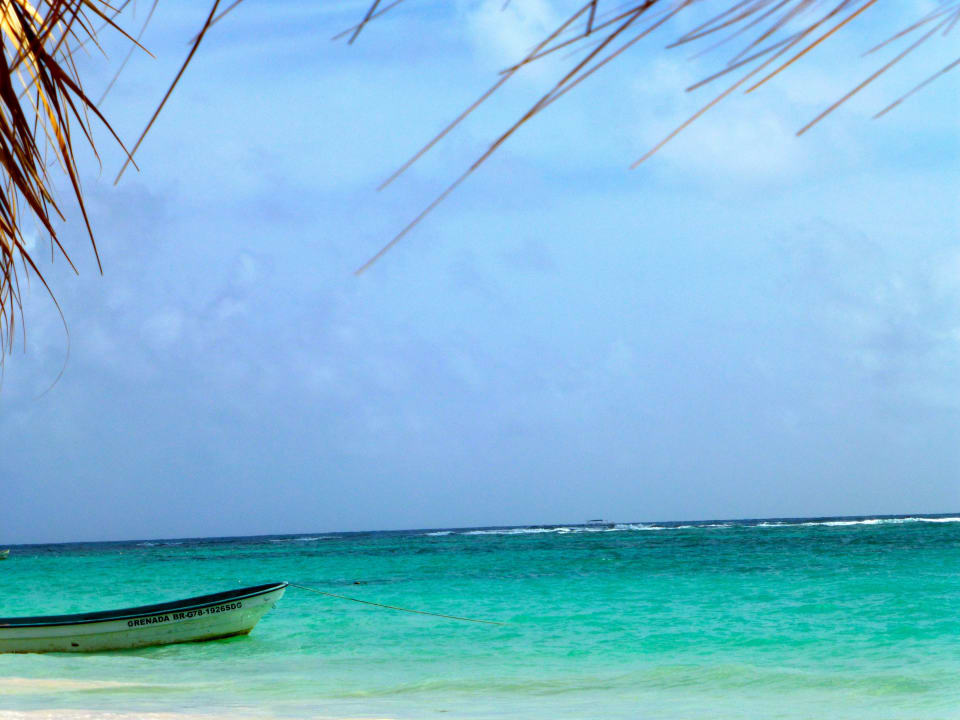 Strand Vik Hotel Arena Blanca & Cayena Beach