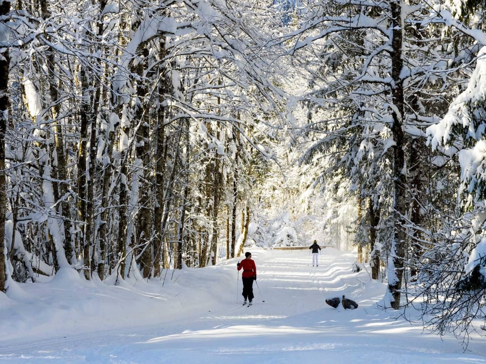 Die Loipe direkt am Haus Hotel Garni Haus Wildbach