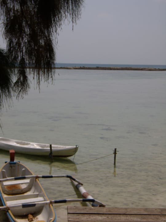 Kanu zum rauspaddeln Kura Kura Resort