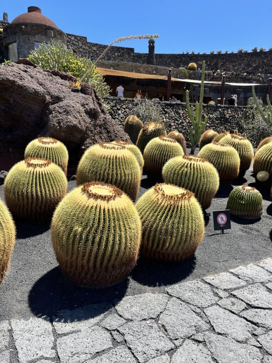 Gartenanlage Sentido Aequora Lanzarote Suite