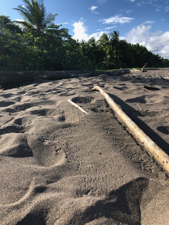 Strand Hotel Aninga Lodge
