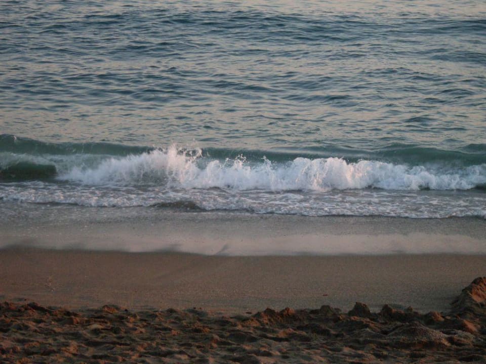 Das Meer Hotel Royal Garden Beach