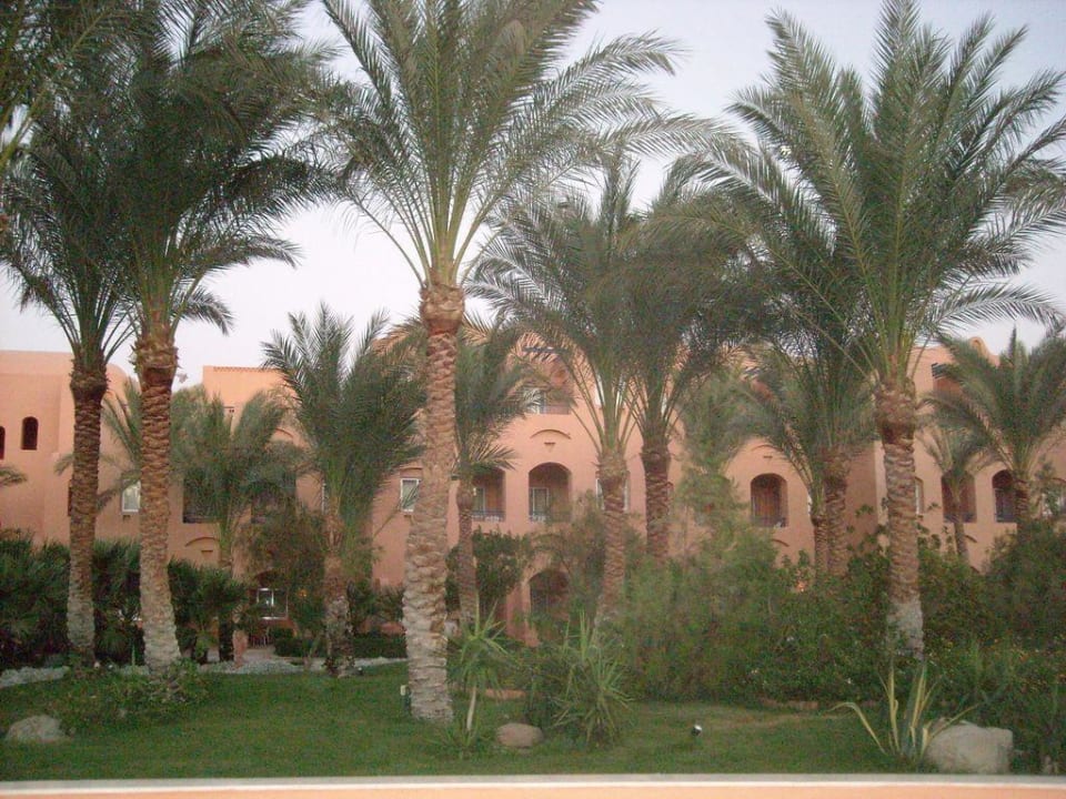 Madinat Makadi Jaz Makadi Oasis Resort