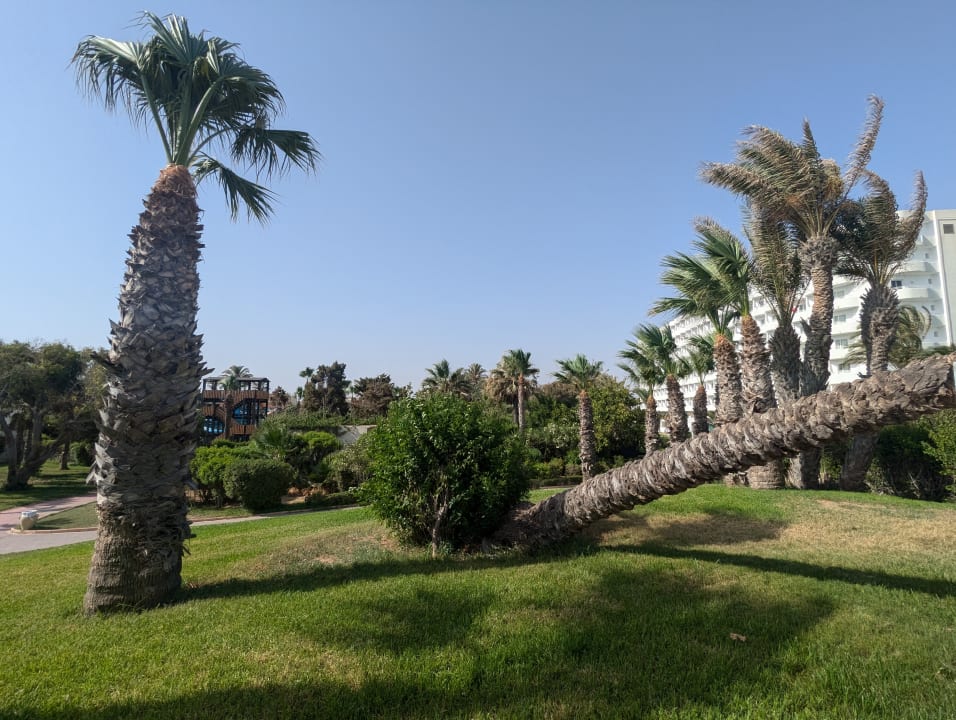 Gartenanlage Sahara Beach Aquapark & Resort