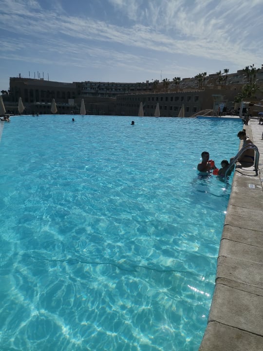 Pool Pickalbatros Citadel Resort