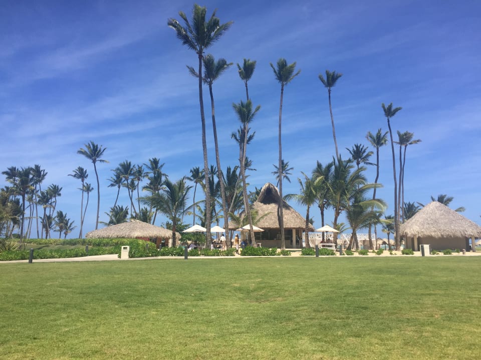 Gartenanlage Dreams Onyx Resort & Spa