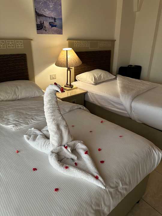 Zimmer Amarina Queen Resort Marsa Alam