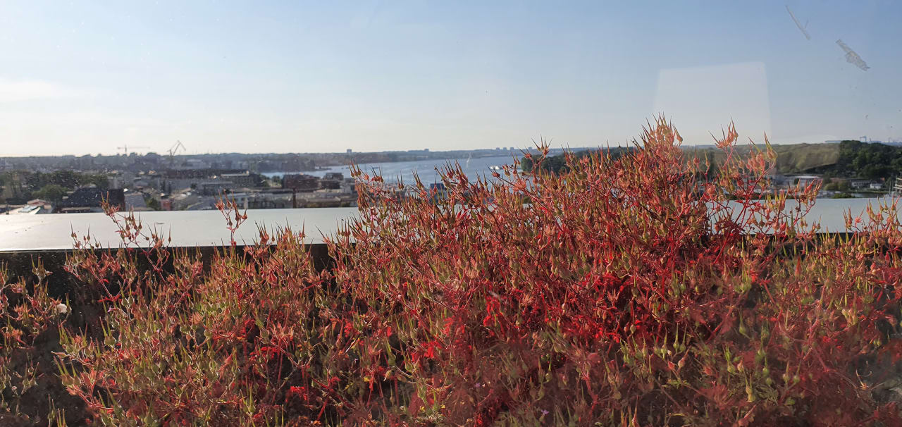 Ausblick ScanHotels City Rostock